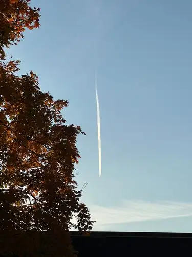 Autumn leaves meet sky-high trails.